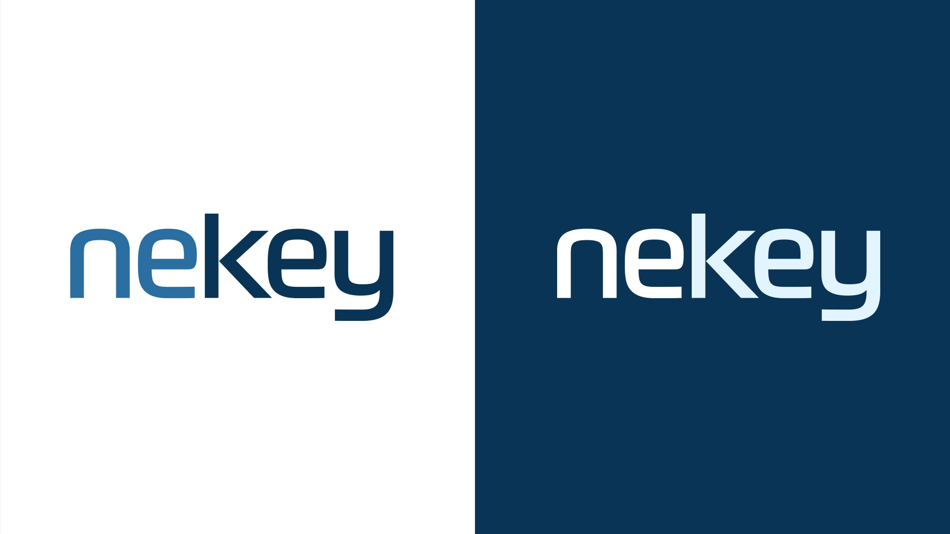 neKey Logo